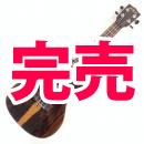 【送料無料】KALA(カラ) KA-ZCT-C　コンサートウクレレ