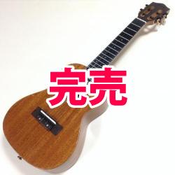 S.Yairi(ヤイリ) YU-C-13MAS  コンサート(ケース付)